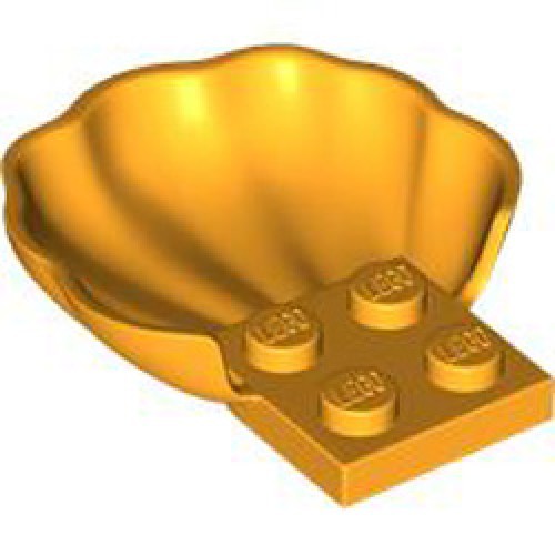 Shell Flame Yellowish Orange