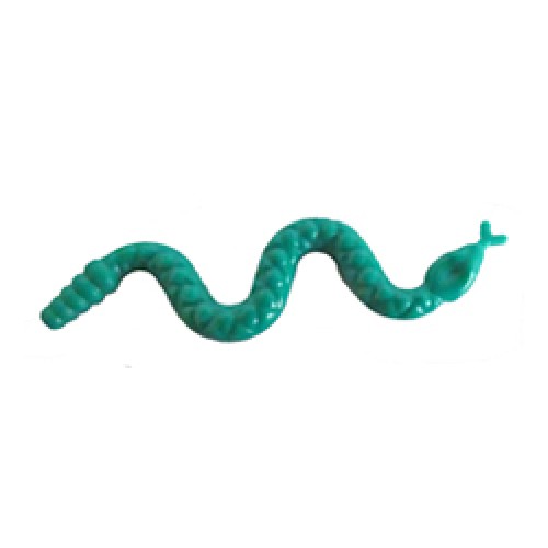 Snake Bright Bluish Green