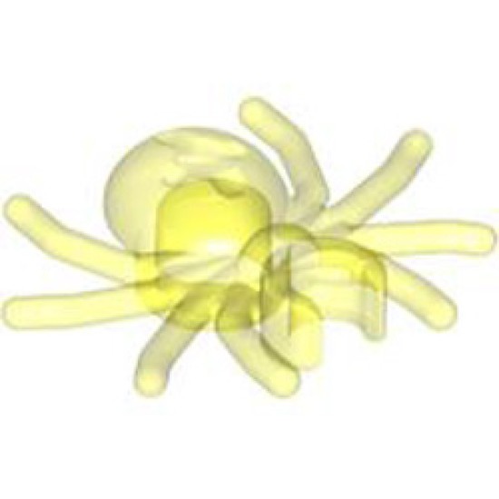Spider Transparent Fluorescent Green