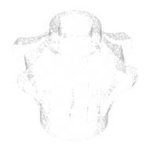 Design Brick 1x1x1 Number 1 Transparent with Opalescence