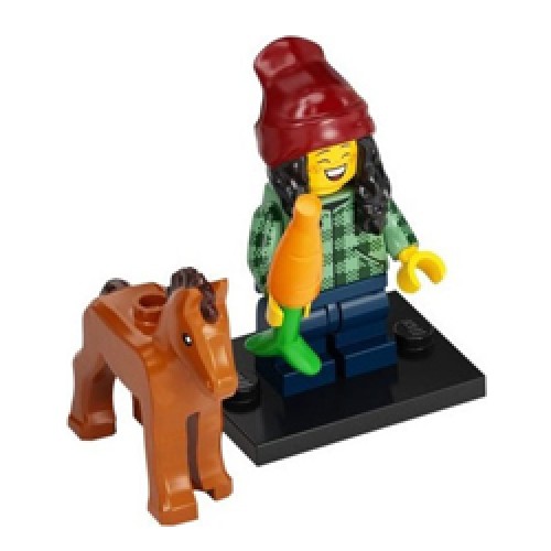 Horse and Groom, Series 22 Collectable Minifigures