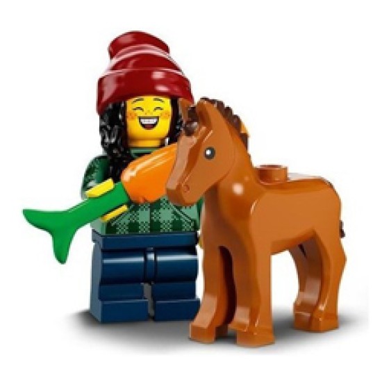 Horse and Groom, Series 22 Collectable Minifigures