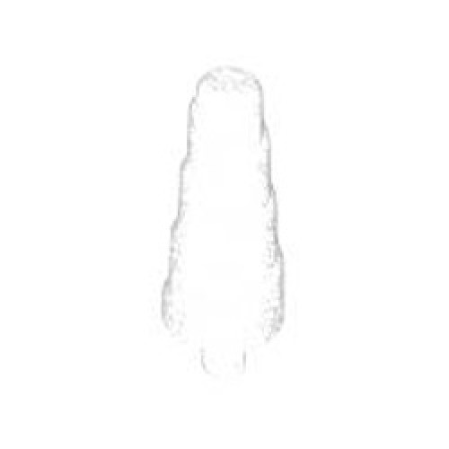 Conical Horn with 1.5 Shaft Number 1 Transparent with Opalescence