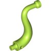 Elephant Trunk Bright Yellowish Green