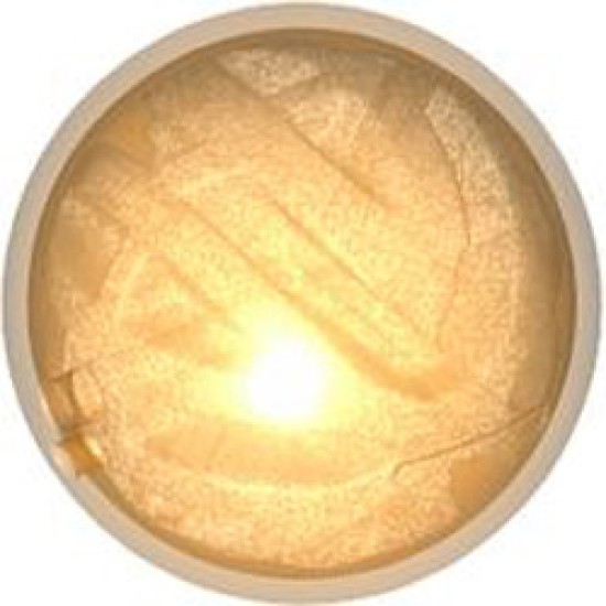 Wheel Ball Diameter 19 Number 1 Transparent Bright Orange