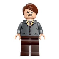 Professor Remus Lupin with Cardigan Minifigure